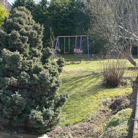 Monika Schneider 윔바흐