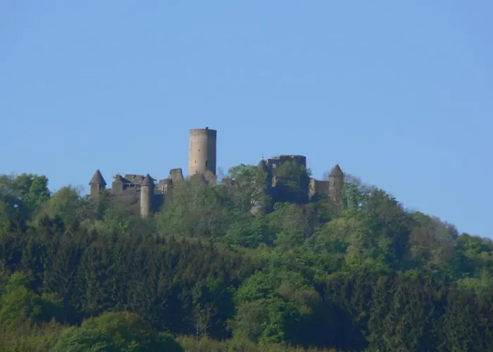 Monika Schneider Wimbach